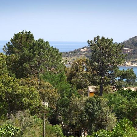 Villa Mimosa Favone Bagian luar foto