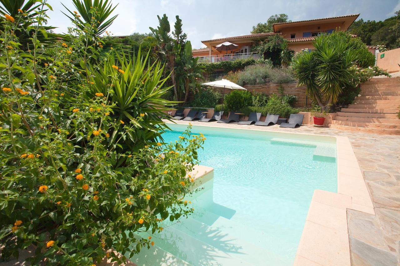 Villa Mimosa Favone Bagian luar foto