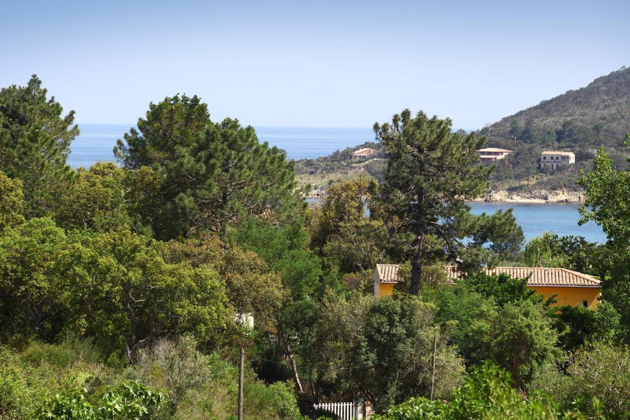 Villa Mimosa Favone Bagian luar foto