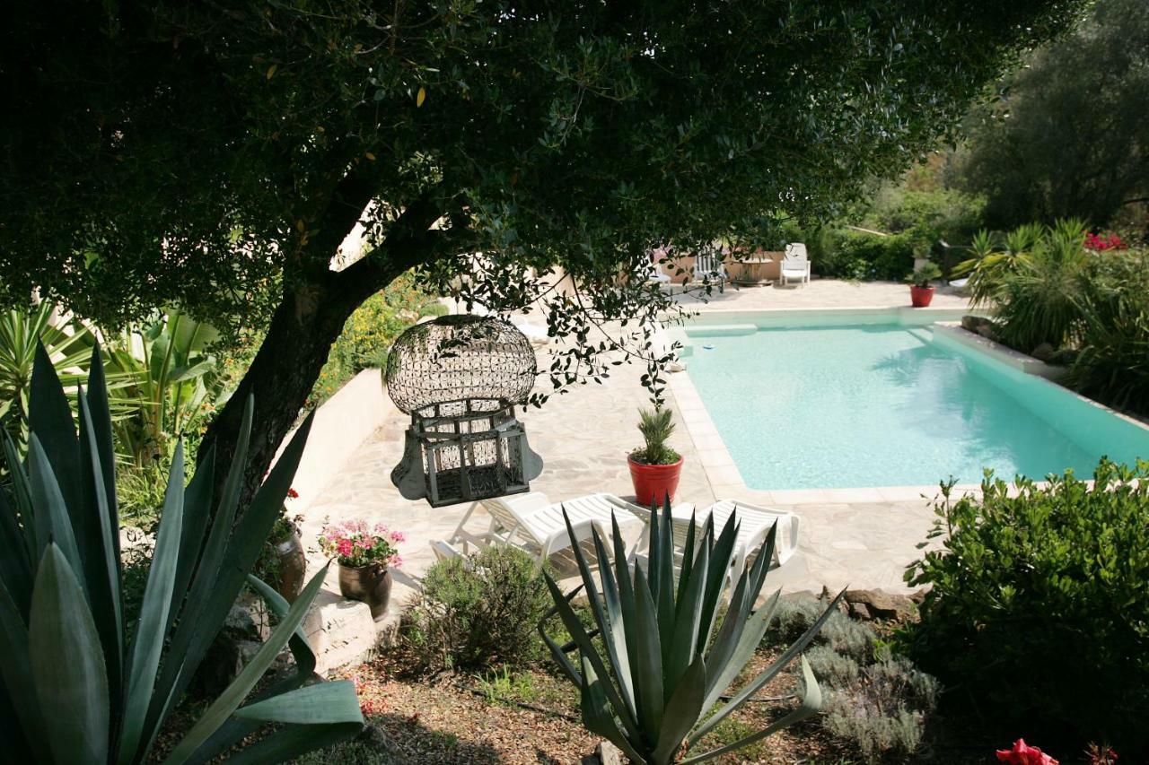 Villa Mimosa Favone Bagian luar foto