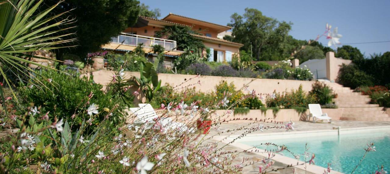 Villa Mimosa Favone Bagian luar foto