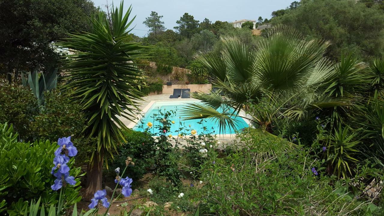 Villa Mimosa Favone Bagian luar foto