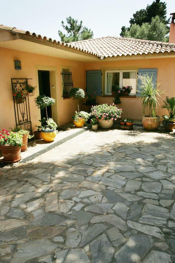 Villa Mimosa Favone Bagian luar foto