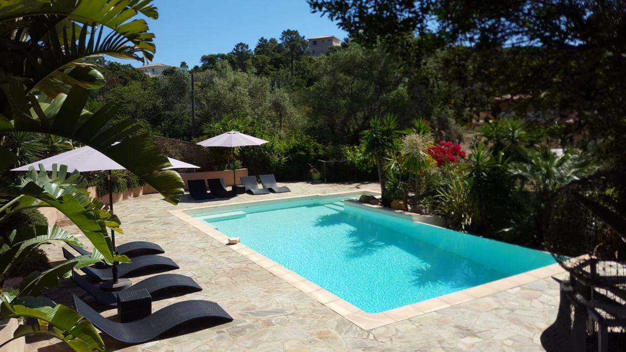 Villa Mimosa Favone Bagian luar foto