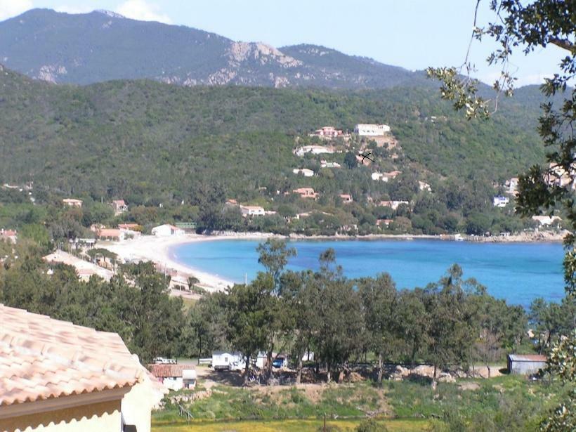 Villa Mimosa Favone Bagian luar foto