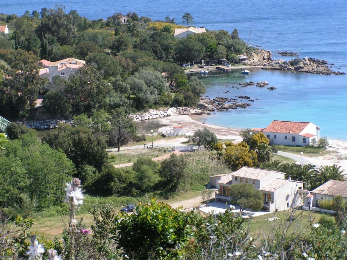 Villa Mimosa Favone Bagian luar foto