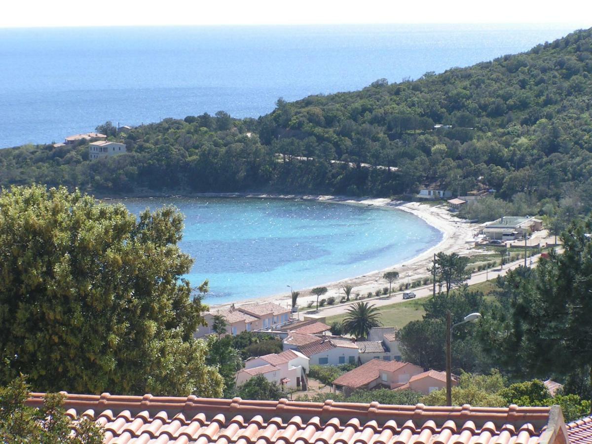 Villa Mimosa Favone Bagian luar foto