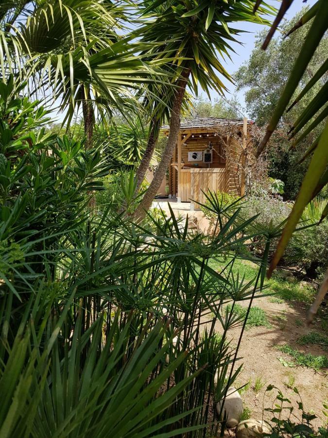 Villa Mimosa Favone Bagian luar foto