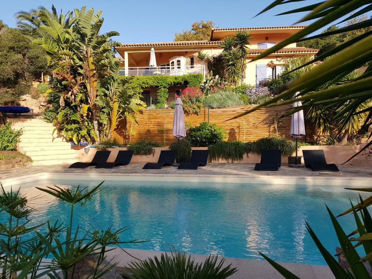 Villa Mimosa Favone Bagian luar foto